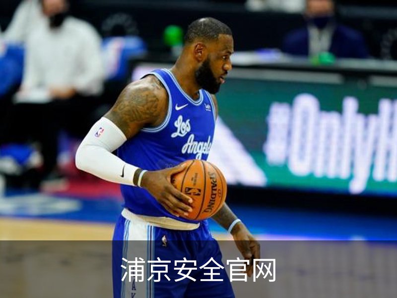 浦京安全官网简介