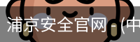 浦京安全官网